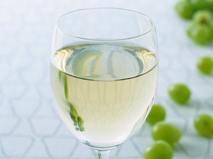 神经网络搜索